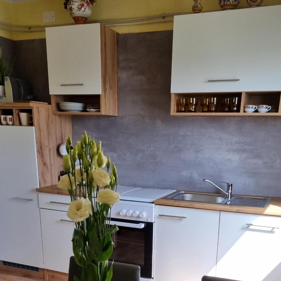 Apartma Tanja -Камник Екстериор снимка